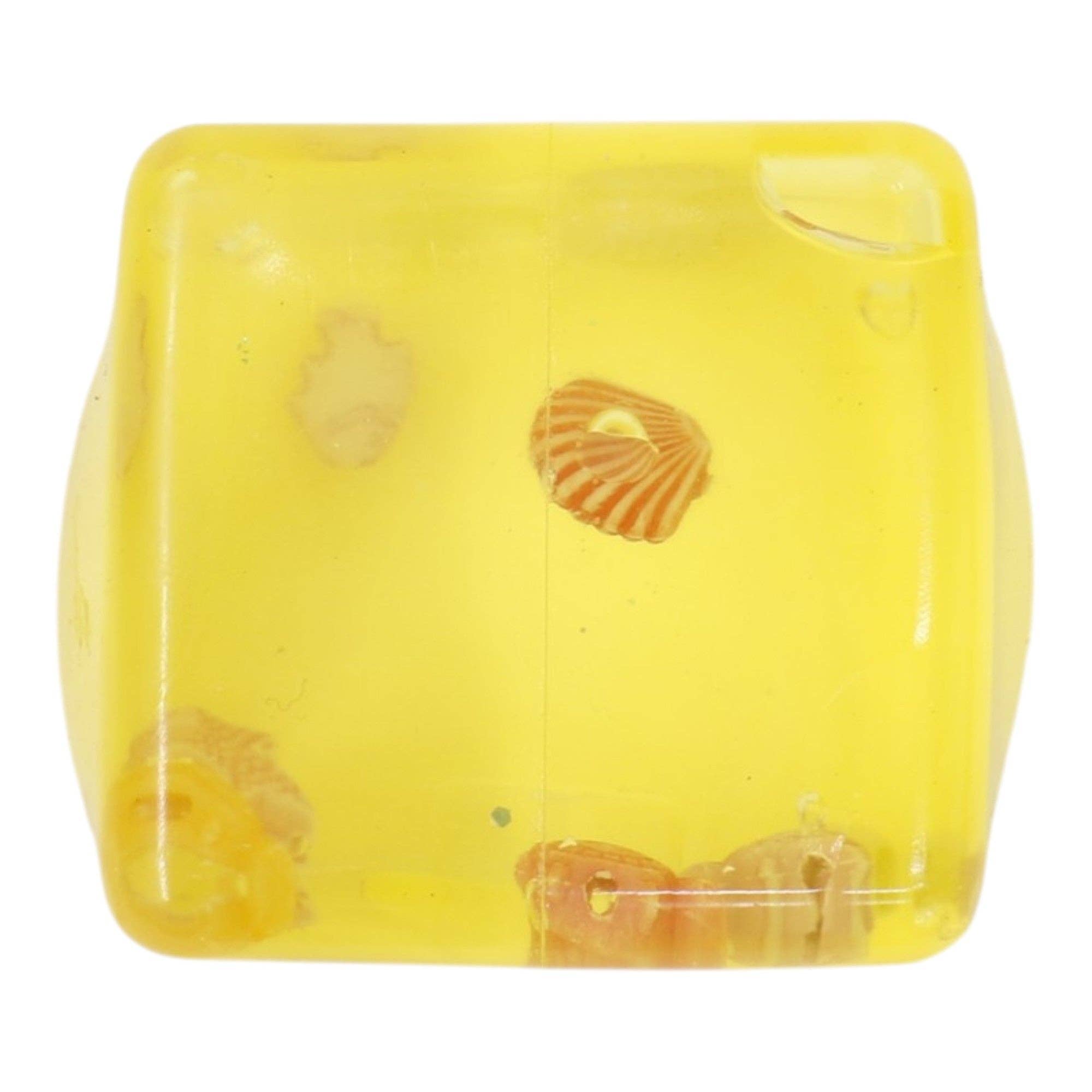 Cube Fidget Squishy filled with Ocean Scene Toy