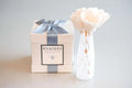 B's Knees-Big Sky- White Confetti Diffuser