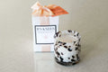 B's Knees-Eliza - White Tortoise Vessel