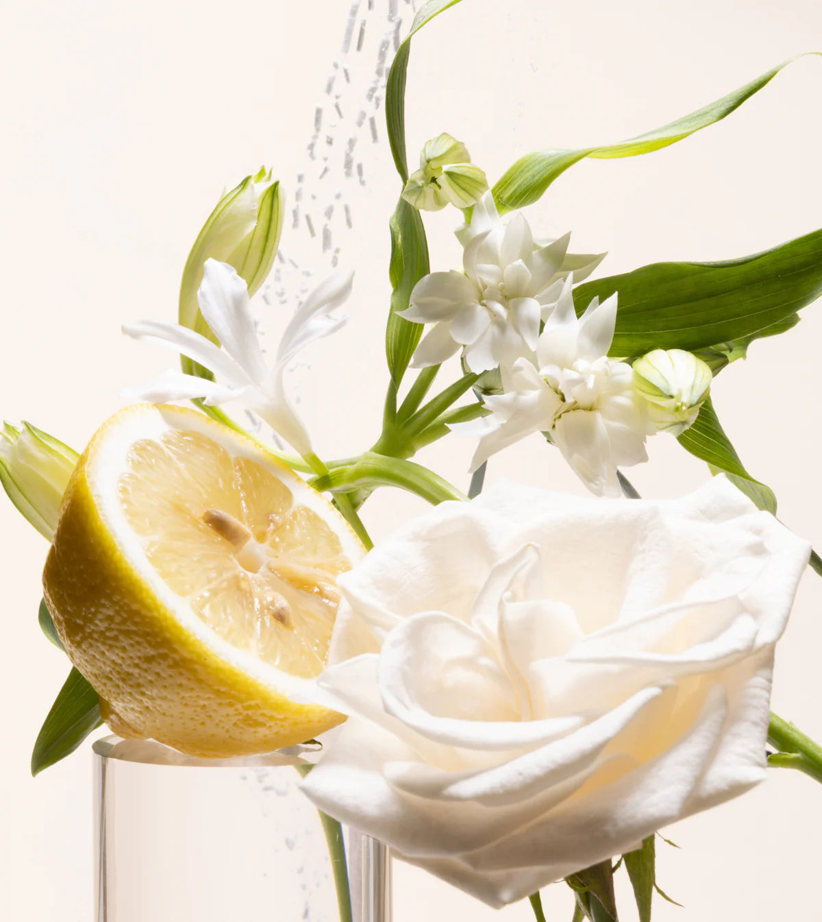 Gardenia Tuberose 300oz.