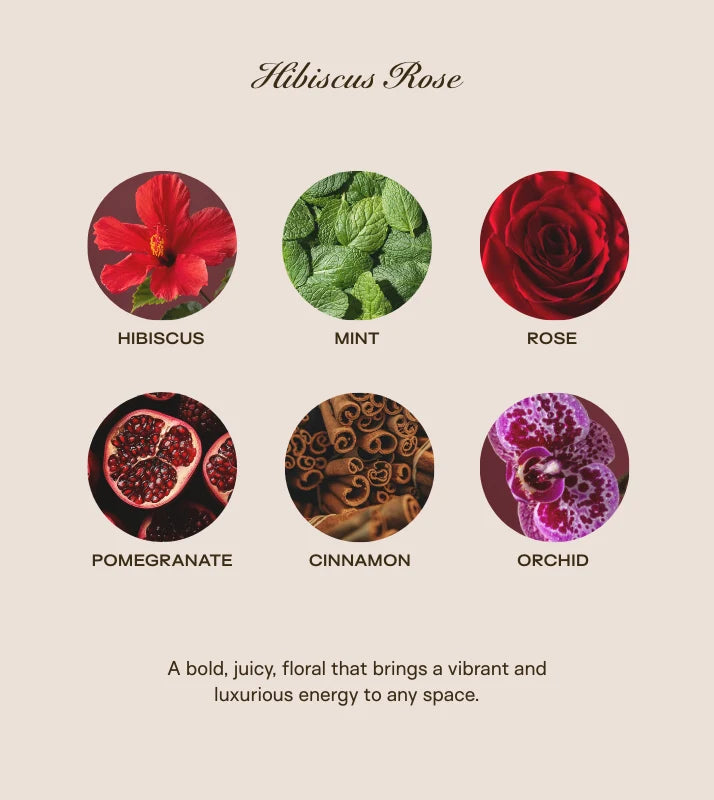 Hibiscus Rose 300oz.