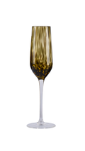 Amber Black Dot Champagne Glass  Set of 2