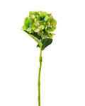 Hydrangea Stem   Green   27.5"