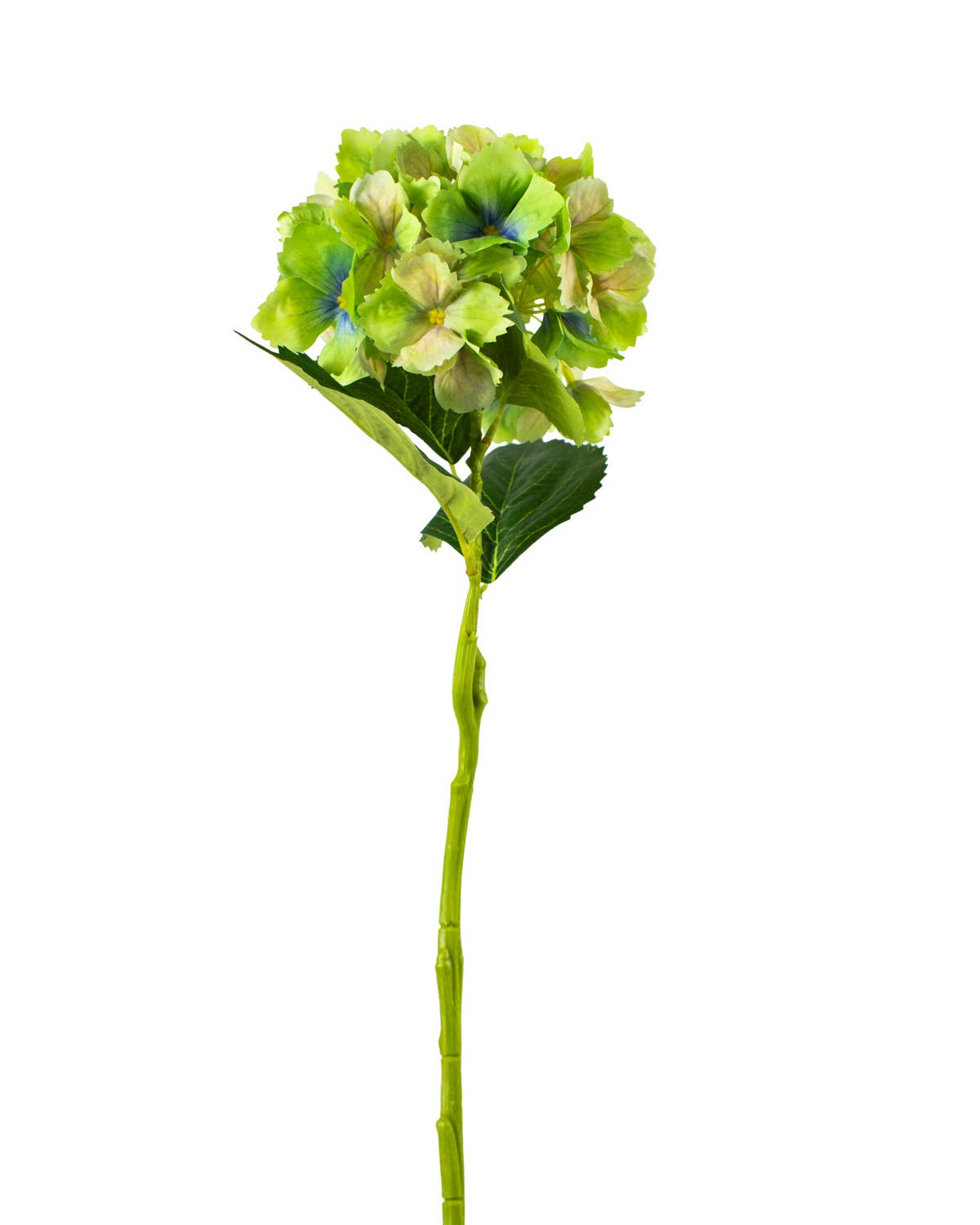 Hydrangea Stem   Green   27.5"
